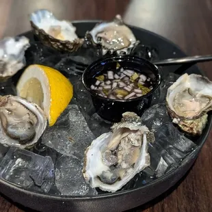 Oysters