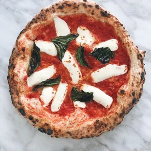 Margherita Pizza (pomodoro, fior di latte, parmesan, basil) vegetarian