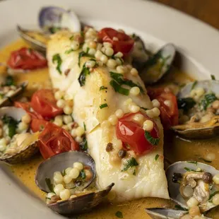 Halibut