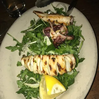 Calamari alla Griglia con Rucola e Insalata di Finoochi
