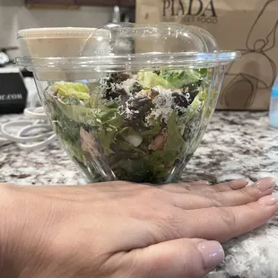 Tiny salad for $14 - don&apos;t get me started on the $3 I had to pay extra for the tbspn of chicken