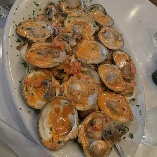 Fresh Clams