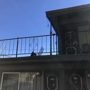 Patio and lounge area