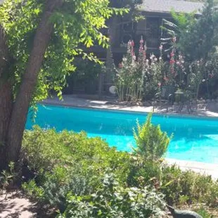 Big pool and refreshing