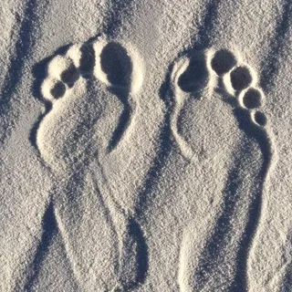 Paul P.