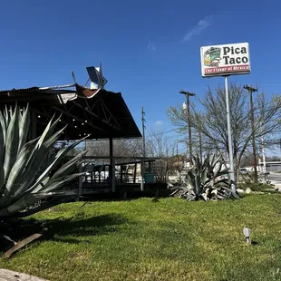 Pica Taco