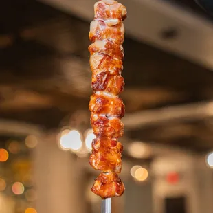 a skewer of meat