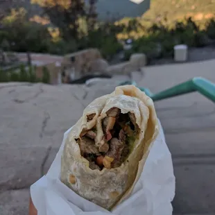 Carne Asada Burrito