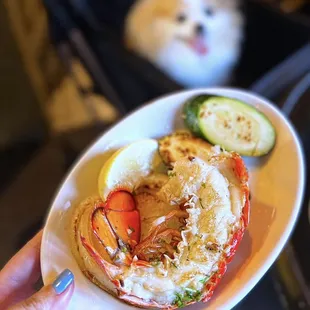 Cola de Langosta ($9.50). Dog-friendly front patio + parklet.