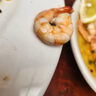 All of my shrimps had poop inside. :(