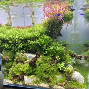 Display setup for sale - such vivid colors