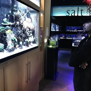 Taking it all in, calming serene. Picasso Exotic Aquatics.