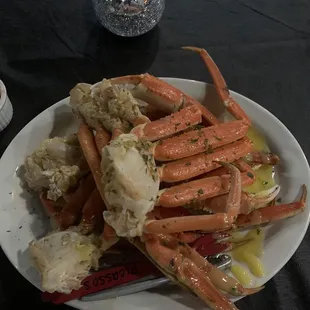 Snow Crab