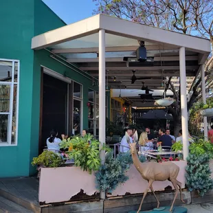 great day for outside dining