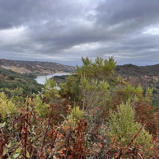 Nearby hiking trails leading into the winery