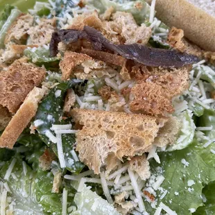 Cesare salad