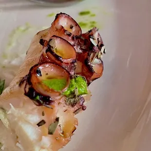 Polpo caprese con burrata, pomodorino confit e basilico. Grilled octopus. Burrata cheese. Basil confit