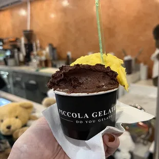 Chocolate and Mango dairy free gelato