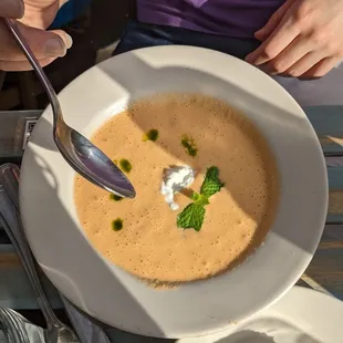 Gazpacho soup (today&apos;s special)