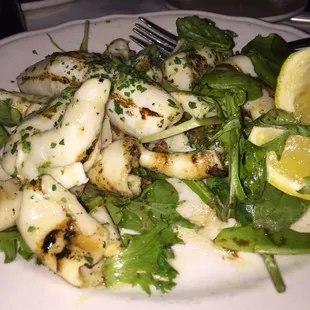 Grilled Calamari