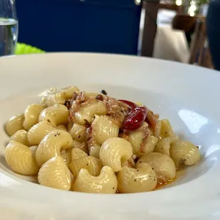 pasta, food, pasta dish