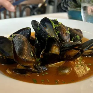 Nice mussel and clams in red sauce starter