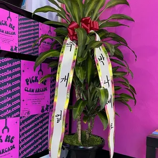 Pick Me Claw Arcade - 7175 W. Lake Mead Blvd., Suite 160, 89128