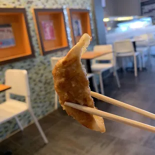 Gyoza