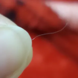  hand holding a toothbrush