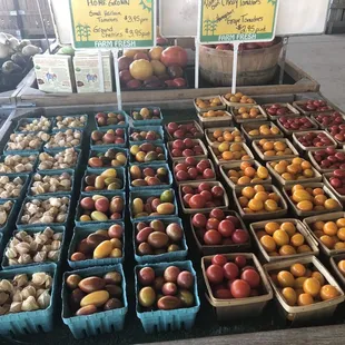 So many type of tiny tomatoes including ground cherries on the left.