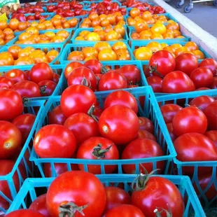 a display of tomatoes