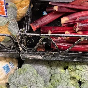 Produce Dept. Rotten Rhubarb filthy bin!