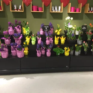 Floral department