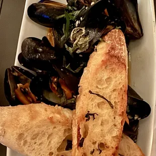 oysters, oysters and mussels, shellfish, food, mussels