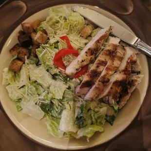 Chicken Caesar Salad**
