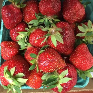 Fresh strawberries!