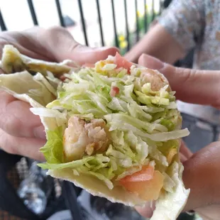 Chicken avocado wrap with little meat