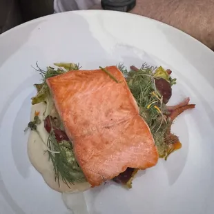 Steelhead Trout