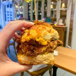 HOT CHICKEN BISCUIT