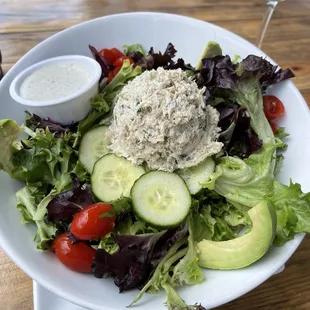 Tuna Salad Platter Salad