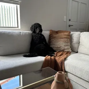 Before Groomers
