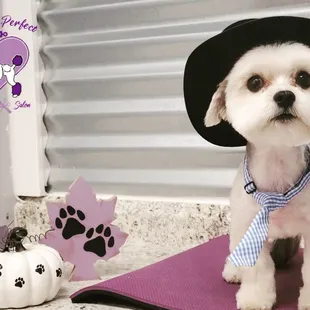 Cutest cowboy in town!