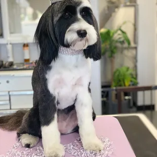 Millie Lou