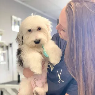 Megan and Boo, a mini sheepadoodle puppy.