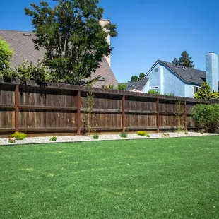 New celebration bermuda sod and new irrigation with new drainage and new concrete walkways
