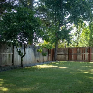 Celebration bermuda sod and new irrigation . Prep took one full day , irrigation took two days and installation of the sod took one day.