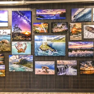 Colorfuse metal print gallery wall at Pictures Plus Kaka'ako.