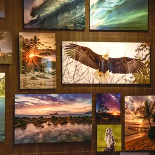 Colorfuse metal print gallery wall at Pictures Plus Kaka'ako featuring local artists.