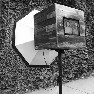 Picwood, in the wild