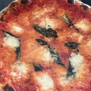 Margherita Pizza